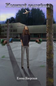Обложка книги Жестяной самолетик