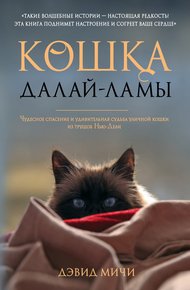 Обложка книги Кошка Далай-Ламы. Чудесное спасение и удивительная судьба уличной кошки из трущоб Нью-Дели