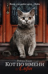 Обложка книги Кот по имени Алфи