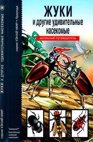 Обложка книги Жуки и другие удивительные насекомые