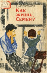 Обложка книги Как жизнь, Семен?