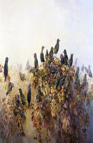 Обложка книги Книга скворцов (журнальный вариант)