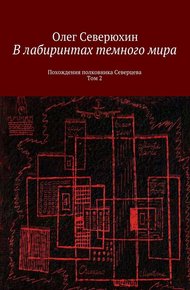 Обложка книги В лабиринтах тёмного мира. Том 2