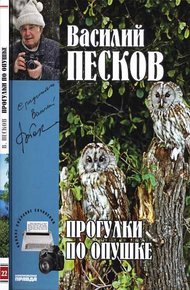 Обложка книги Том 22. Прогулки по опушке