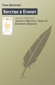 Обложка книги Бегство в Египет