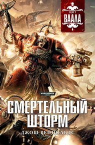 Обложка книги Смертельный шторм