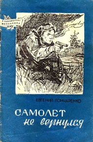 Обложка книги Самолет не вернулся