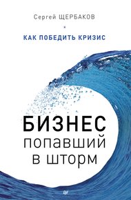 Обложка книги Бизнес, попавший в шторм. Как победить кризис
