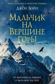 Обложка книги Мальчик на вершине горы