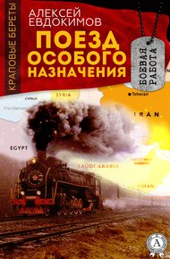 Обложка книги Поезд особого назначения