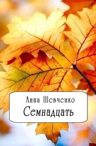 Обложка книги Семнадцать(СИ)