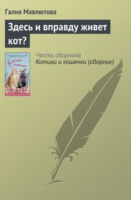 Обложка книги Здесь и вправду живет кот?