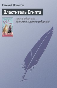 Обложка книги Властитель Египта