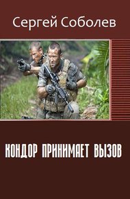 Обложка книги Кондор принимает вызов