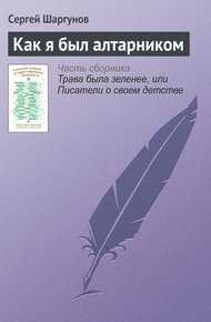 Обложка книги Как я был алтарником