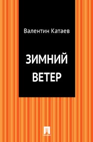Обложка книги Зимний ветер