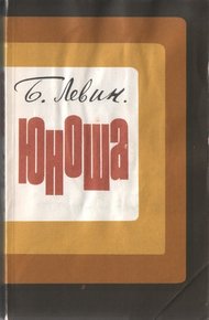 Обложка книги Юноша