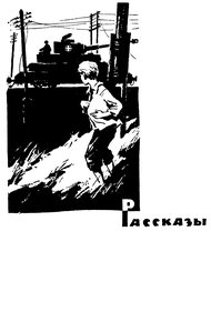 Обложка книги Не отверну лица