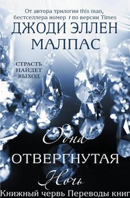 Обложка книги Одна отвергнутая ночь