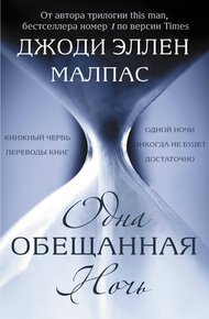 Обложка книги Одна обещанная ночь