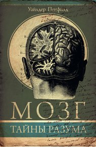 Обложка книги Мозг. Тайны разума
