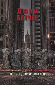 Обложка книги Последний вызов (10.4)