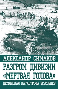 Обложка книги Разгром дивизии «Мертвая голова»
