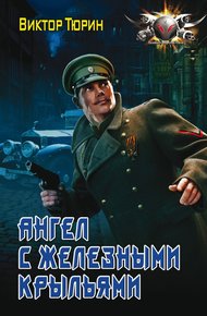 Обложка книги Ангел с железными крыльями