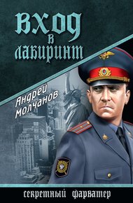 Обложка книги Вход в лабиринт