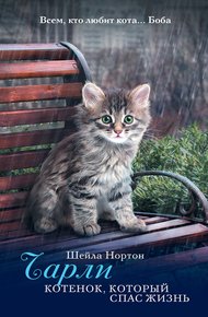 Обложка книги Чарли. Котенок, который спас жизнь