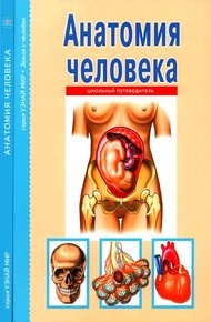 Обложка книги Анатомия человека