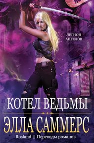 Обложка книги Котел ведьмы