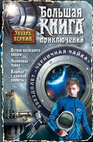 Обложка книги Звездолет «Черничная Чайка»