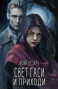 Обложка книги Свет гаси и приходи