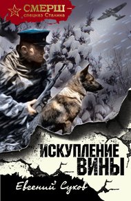 Обложка книги Искупление вины