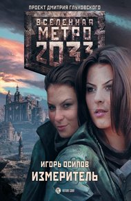 Обложка книги Измеритель