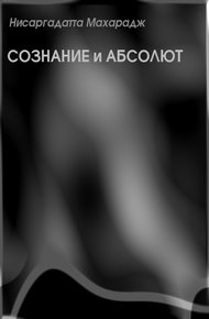 Обложка книги Сознание и Абсолют