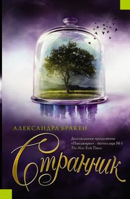 Обложка книги Странник