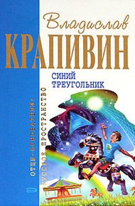 Обложка книги Синий треугольник