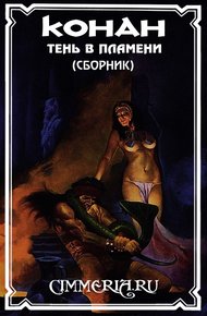Обложка книги Тень в пламени