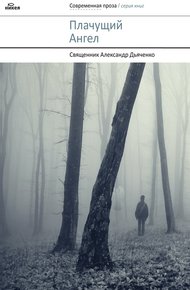 Обложка книги Плачущий ангел