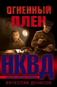 Обложка книги Огненный плен
