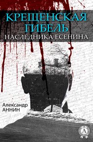 Обложка книги Крещенская гибель наследника Есенина
