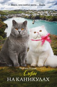Обложка книги Алфи на каникулах