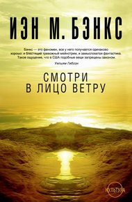 Обложка книги Смотри в лицо ветру