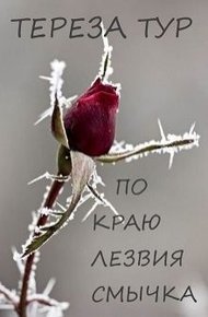 Обложка книги По краю лезвия смычка