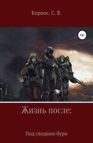 Обложка книги Жизнь после: Под сводами бури