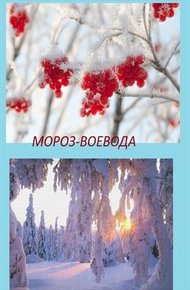Обложка книги Мороз Воевода (СИ)