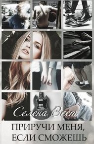 Обложка книги Приручи меня, если сможешь