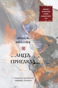 Обложка книги Ангел пригляда